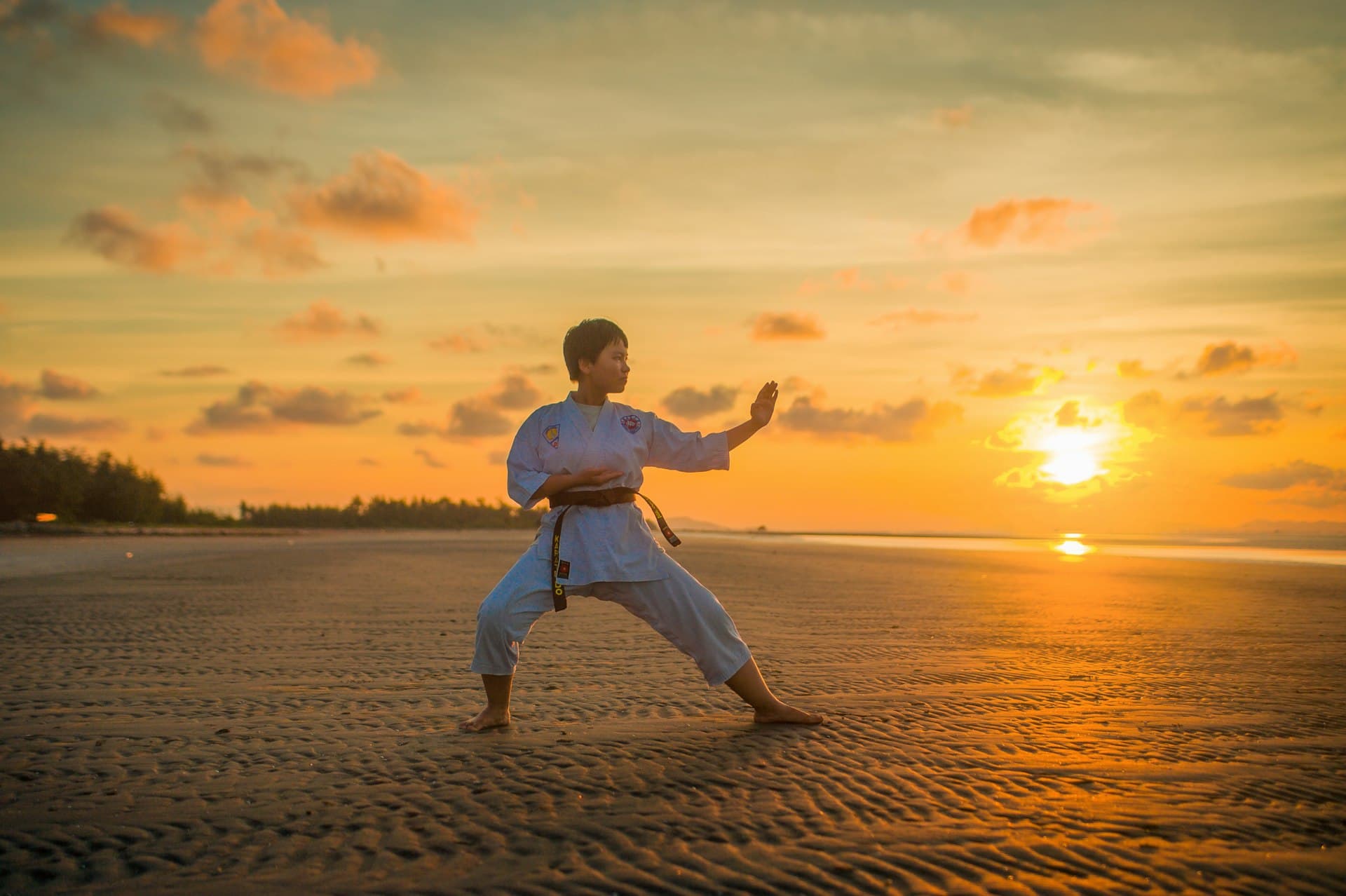 Martial arts training and discipline